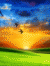 Amazing Animated 6 5