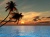 Beach-Palm-At-Sunset-2