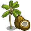 Coconut Tree-icon 1