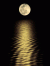 NATURE-3 1