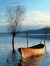 Screensavers 010