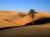 Desert
