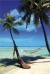 Hammock-2-l