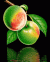 Wonderful apples